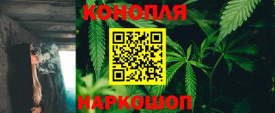 тгк Будённовск