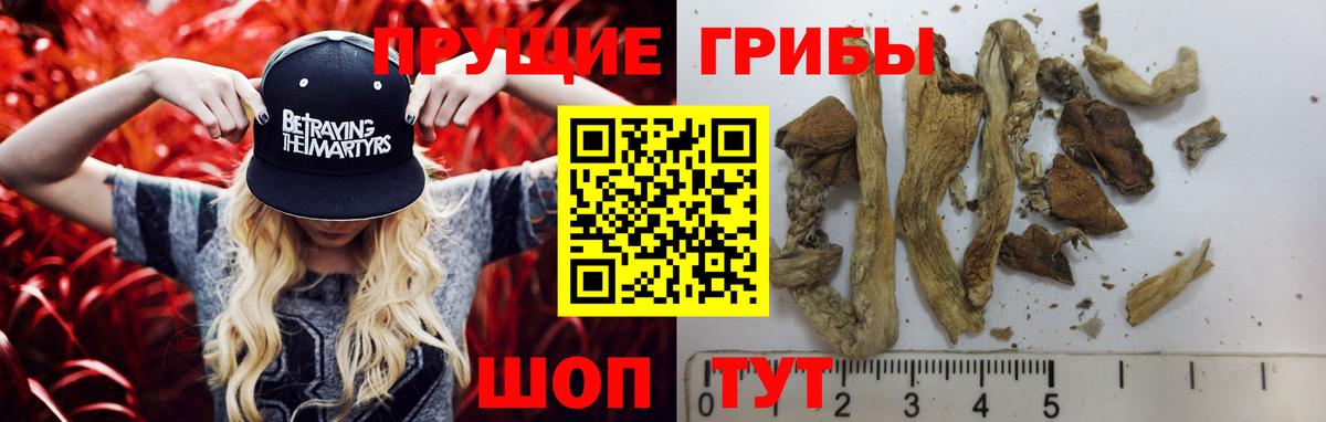 Псилоцибиновые грибы MAGIC MUSHROOMS Татарск